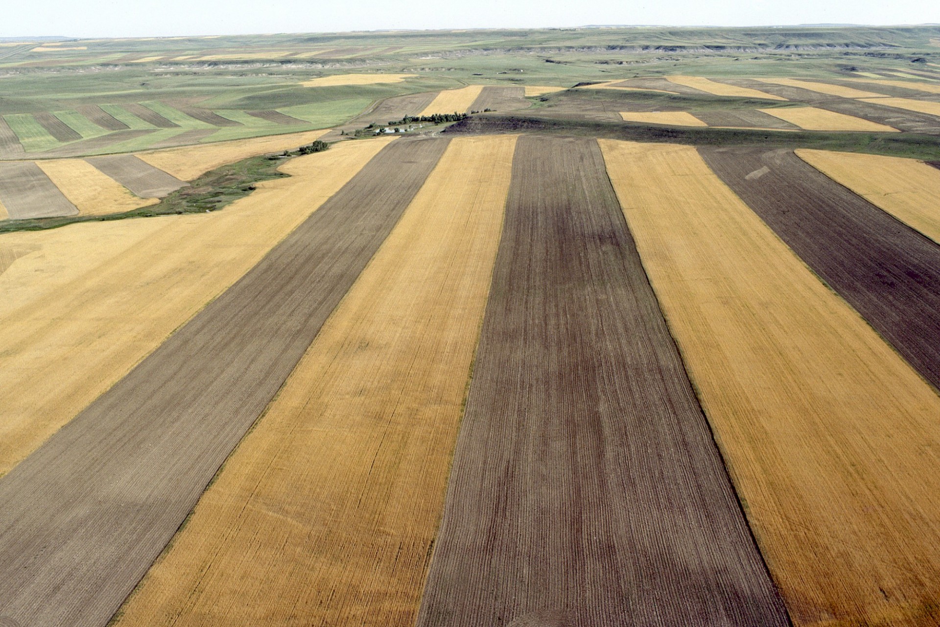 Farmland in Montana