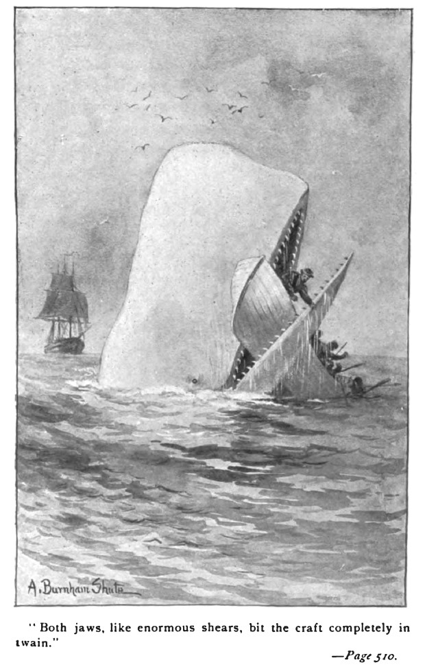 Illustration by A. B. Shute from an early edition of Moby-Dick, in 1892. Source: Wikimedia Commons, Public domain.