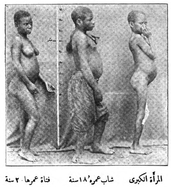 ‘African Pygmies’: Females, al-Muqtaṭaf 30 (1905), insert between 508-9.