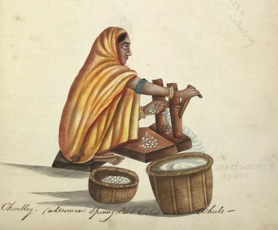 Indian woman gining cotton. Source: Wikimedia Commons, Public domain.