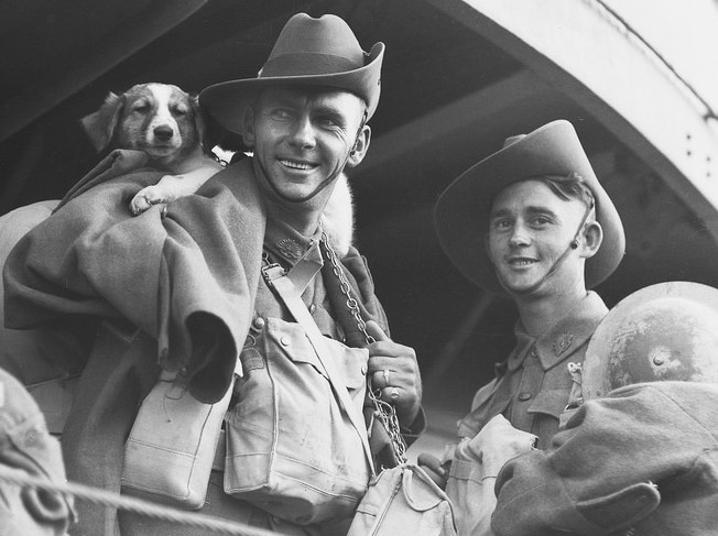 Australian 9th Division, Evacuation from Tobruk, 1941. Source: Australian War Memorial, Flickr - No known copyright restrictions