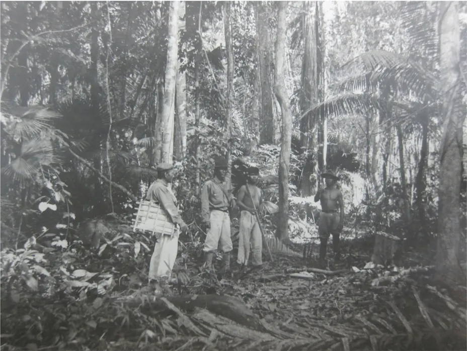 A party of botanists in the field, 1928. Source: Box 23, 350-P Records of the Bureau of Insular Affairs, NARA, Maryland, United States.