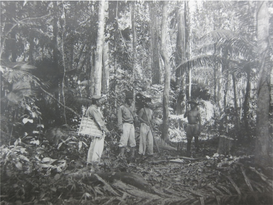 A party of botanists in the field, 1928. Source: Box 23, 350-P Records of the Bureau of Insular Affairs, NARA, Maryland, United States.