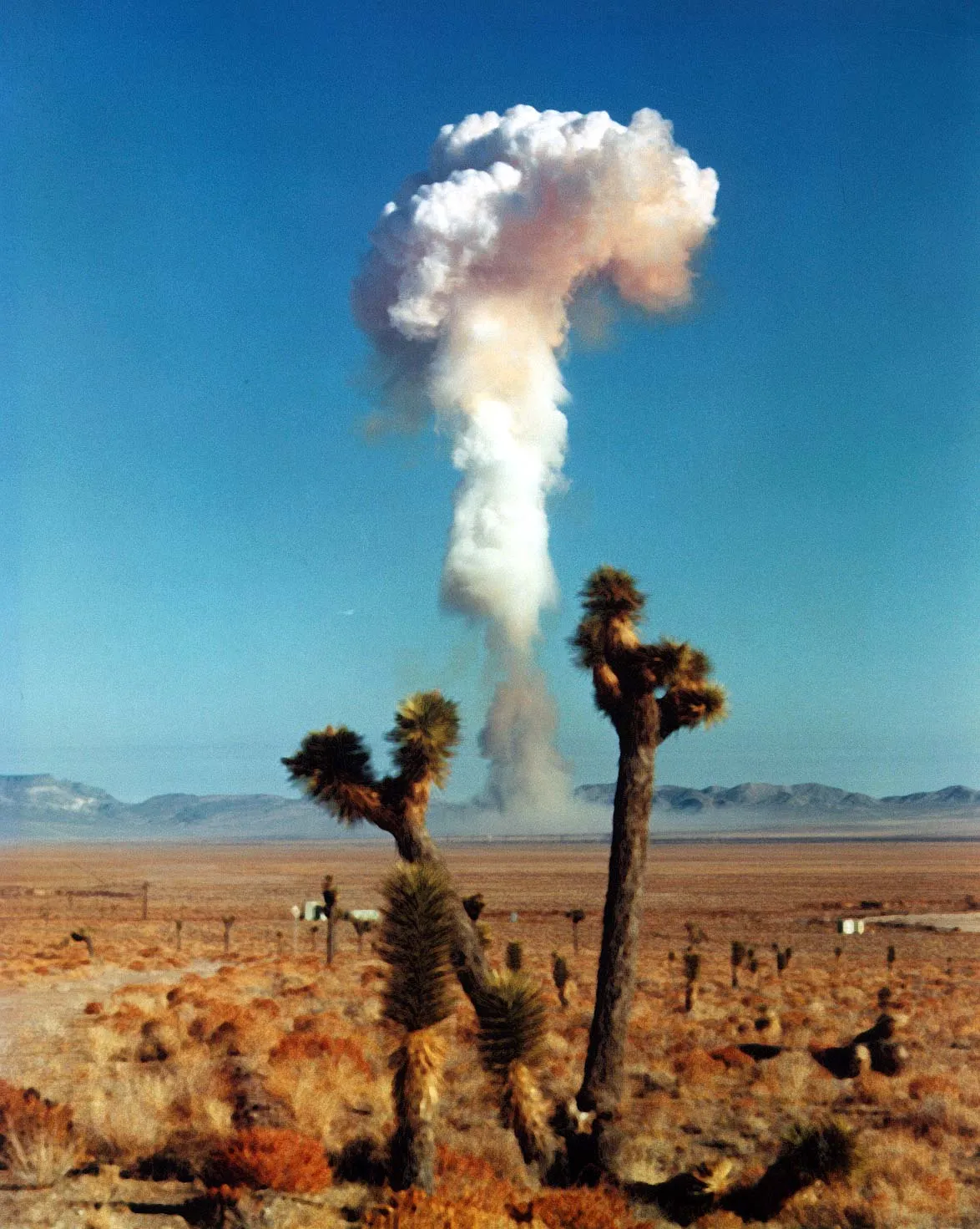 Nuclear test, 1958