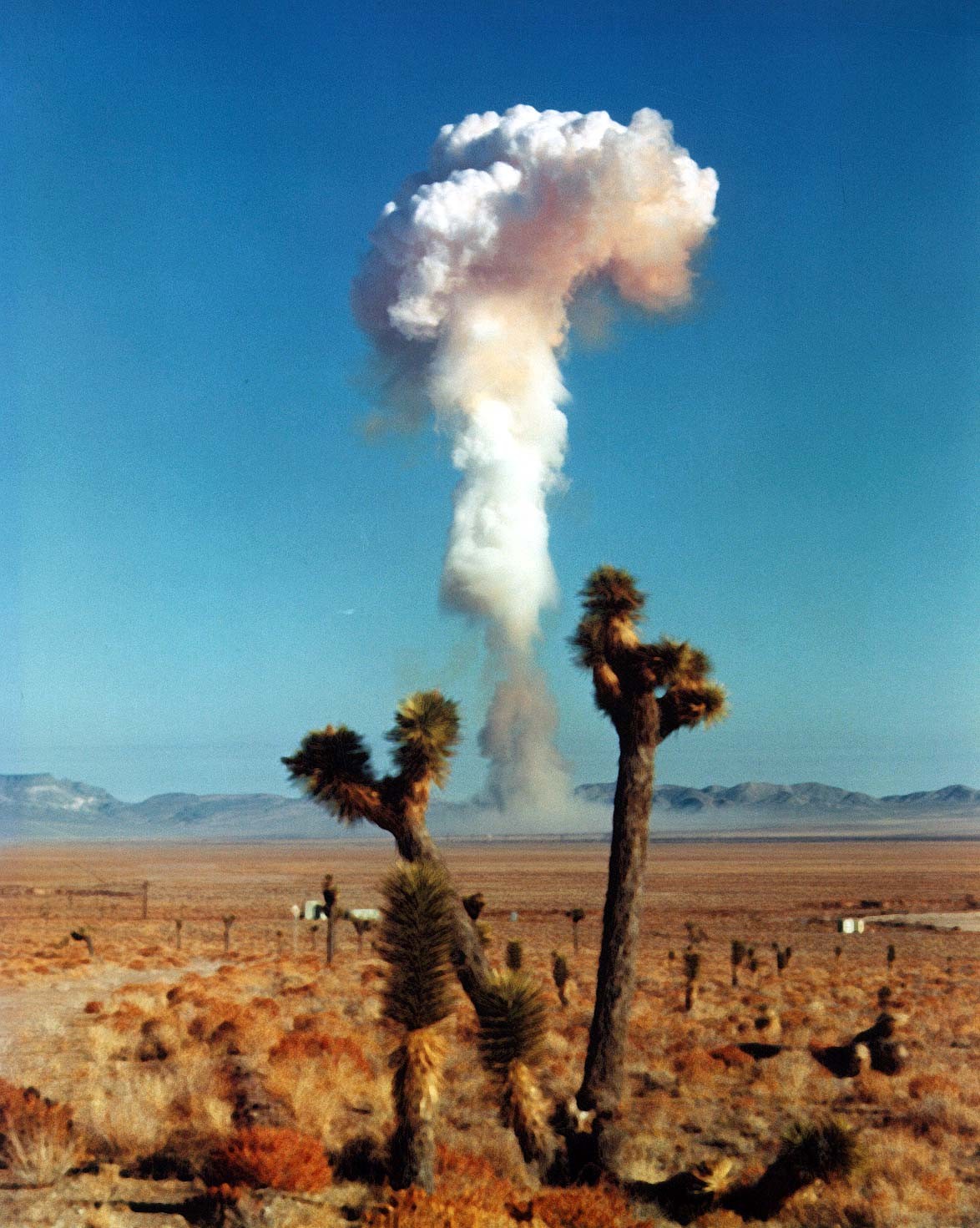 Nuclear test, 1958